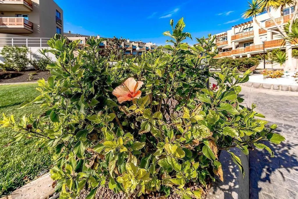 Grande Apartamento, Sotavento 3, La Tejita, El Medano Granadilla De Abona 0*,  Spain